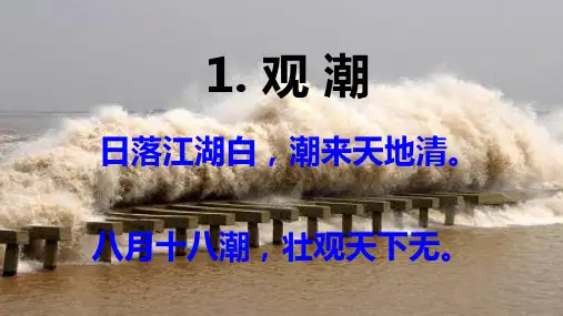 观潮(共42张PPT)
