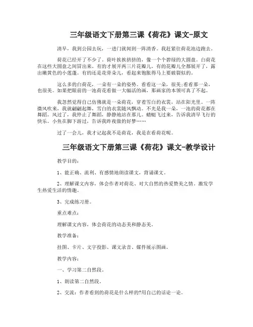三年级语文下册第三课荷花课文