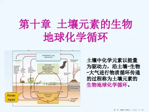 第十章土壤元素的生物地球化学循环