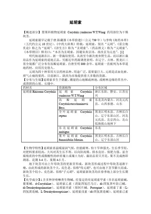 延胡索