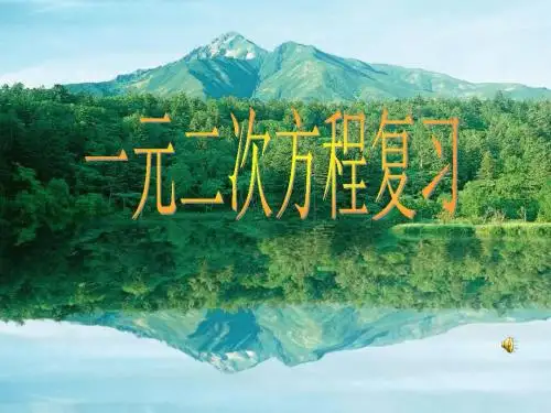 一元二次方程复习课件