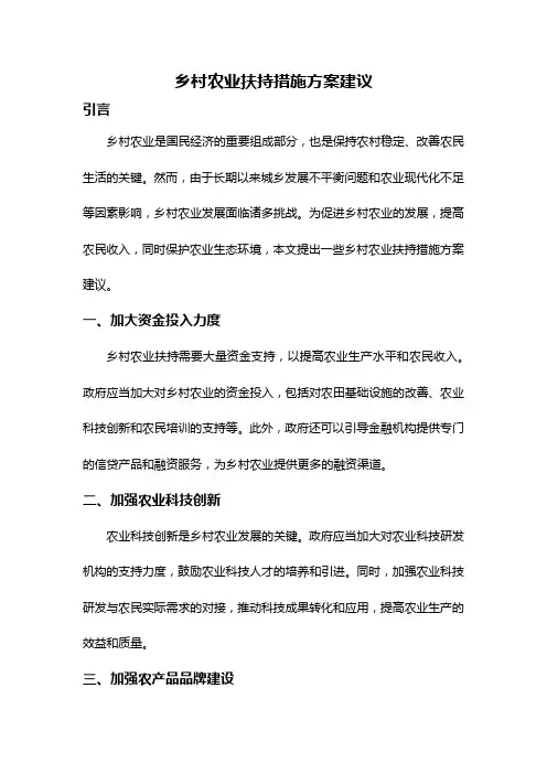 乡村农业扶持措施方案建议