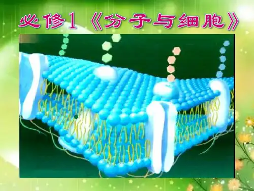 细胞器之间的分工合作-高一上学期生物人教版必修一