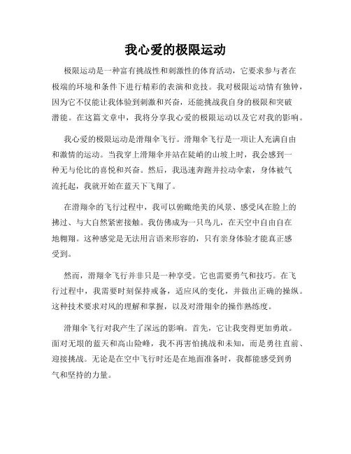 我心爱的极限运动