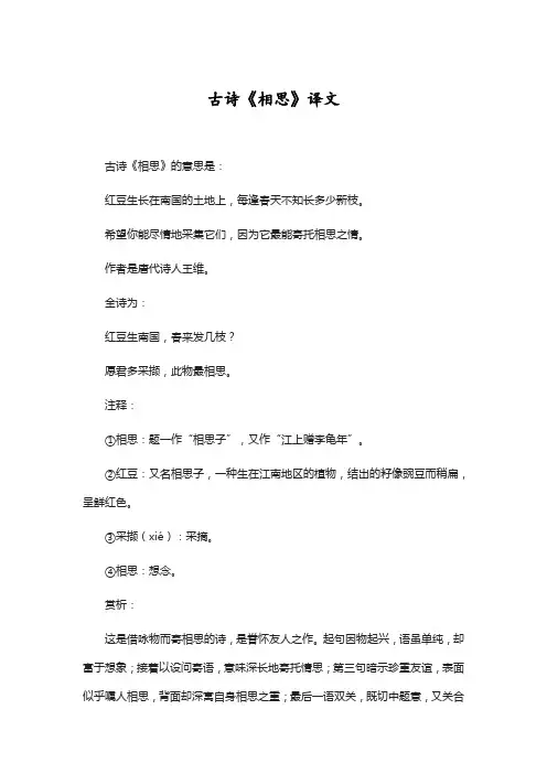 古诗《相思》译文