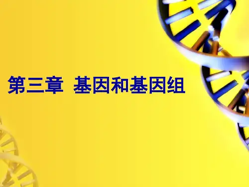 分子生物学课件 第3章 基因与基因组