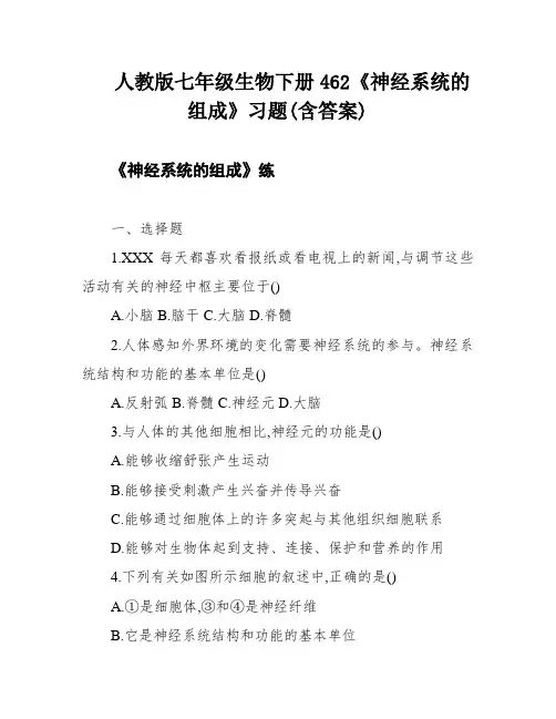 人教版七年级生物下册462《神经系统的组成》习题(含答案)