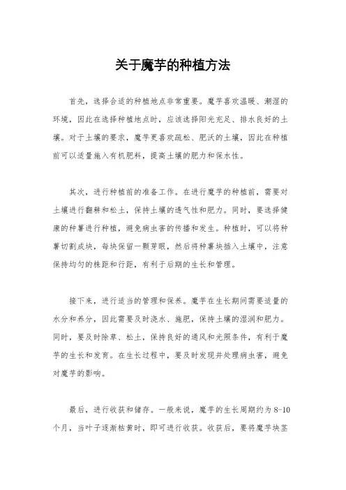 关于魔芋的种植方法