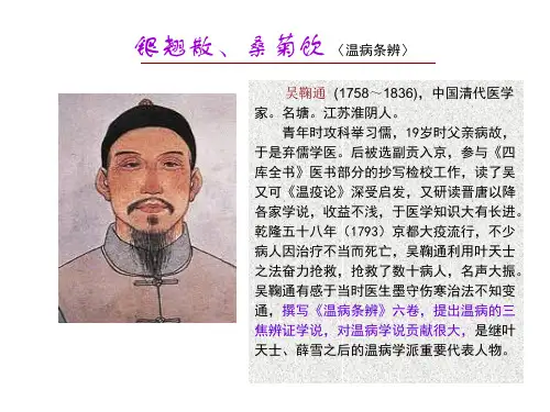 辛凉解表剂