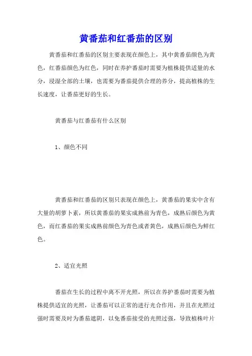 黄番茄和红番茄的区别