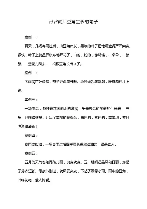 形容雨后豆角生长的句子