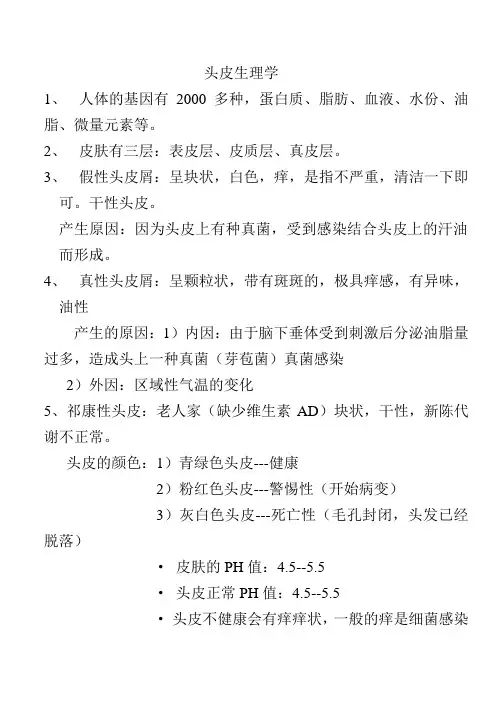 头皮生理学
