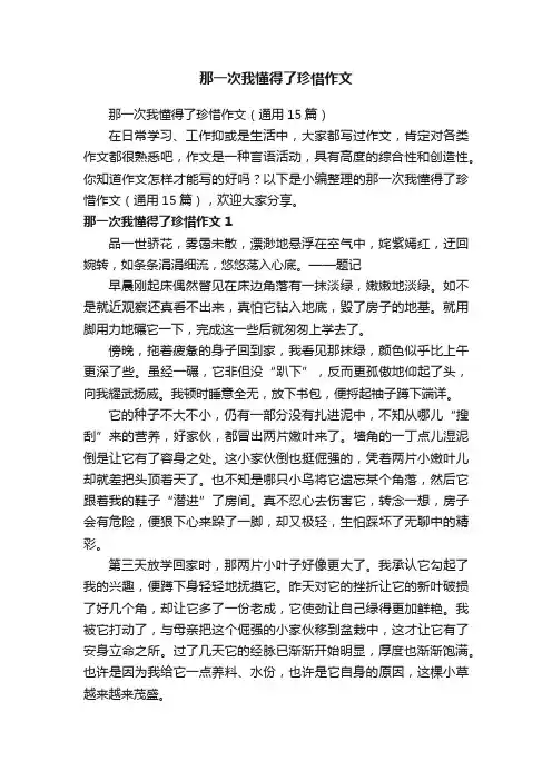 那一次我懂得了珍惜作文