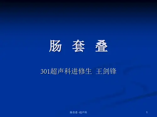 肠套叠 -超声科PPT课件