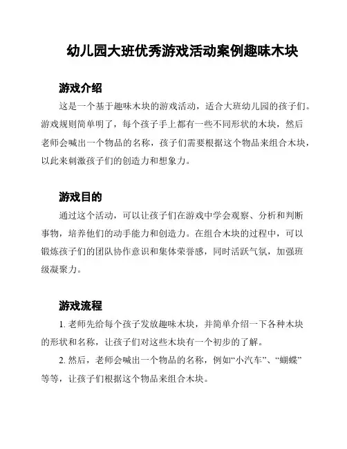幼儿园大班优秀游戏活动案例趣味木块