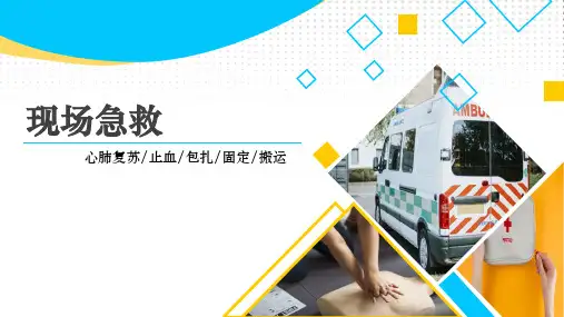 现场急救(心肺复苏止血包扎固定搬运)