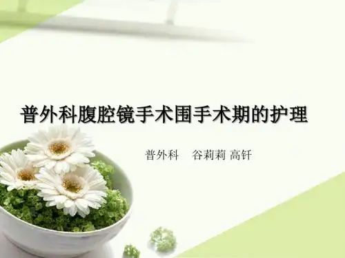 腹腔镜手术围手术期的护理 ppt课件