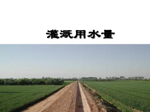 2灌溉用水量及灌水率-精选文档