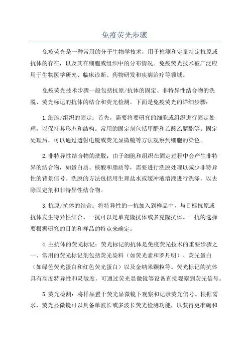 免疫荧光步骤