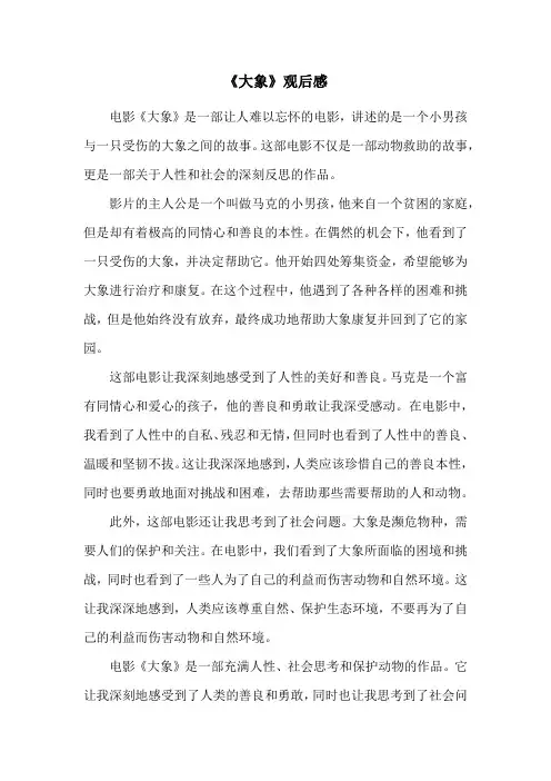 《大象》观后感