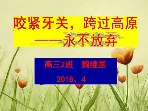 高三励志主题班会“永不放弃”ppt课件