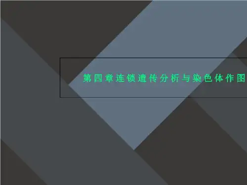 第四章连锁遗传分析与染色体作图