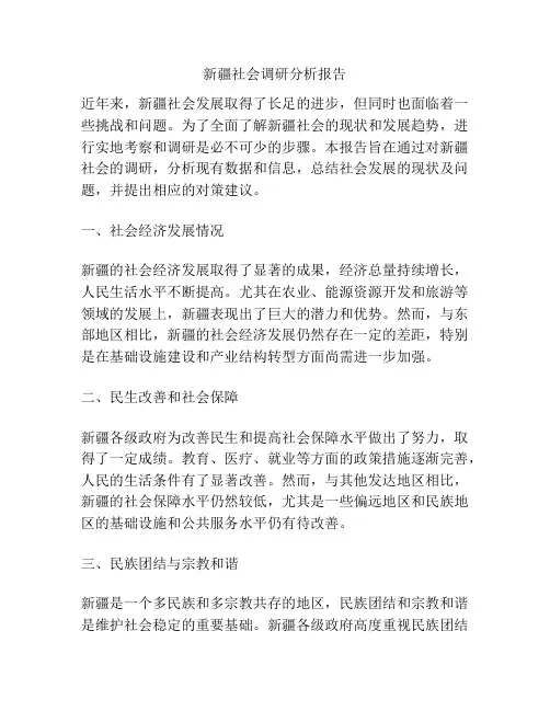新疆社会调研分析报告