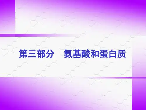 生物化学蛋白质(课堂PPT)