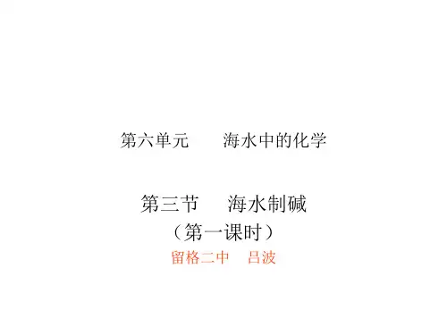 (2019版)九年级化学海水制碱