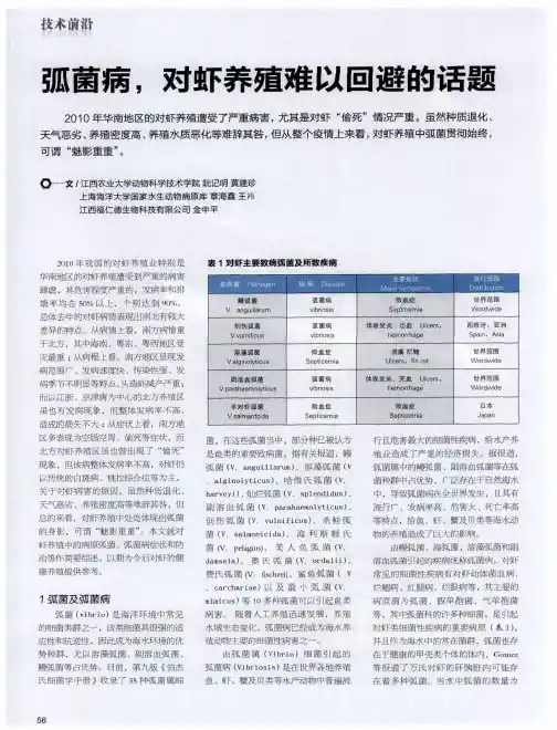弧菌病,对虾养殖难以回避的话题
