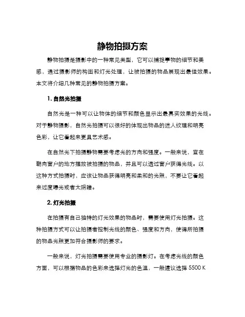 静物拍摄方案