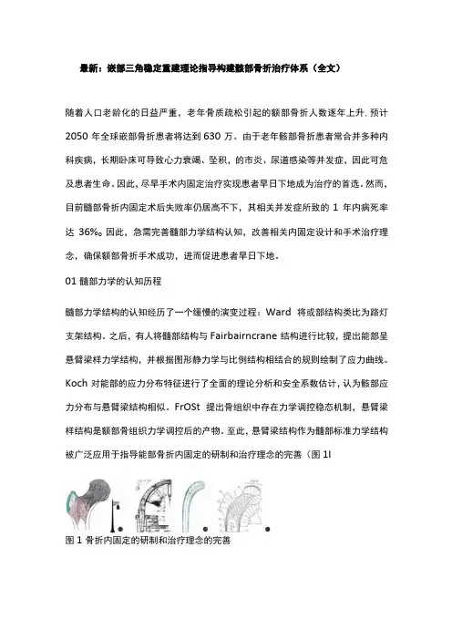 最新：髋部三角稳定重建理论指导构建髋部骨折治疗体系全文