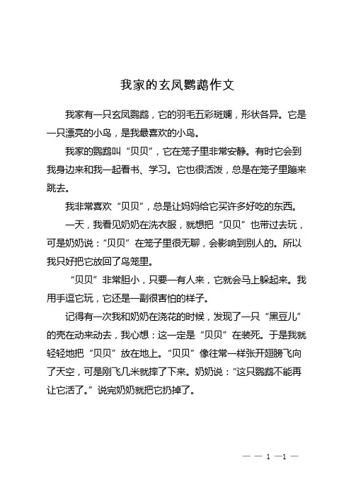 我家的玄凤鹦鹉作文