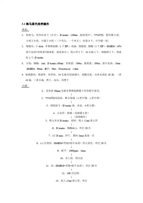 海马细胞培养与鉴定