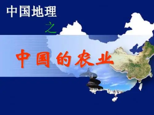 高三一轮复习中国的农业