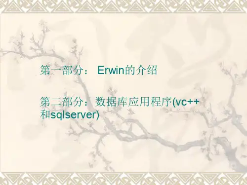 ERwin应用以及使用示例
