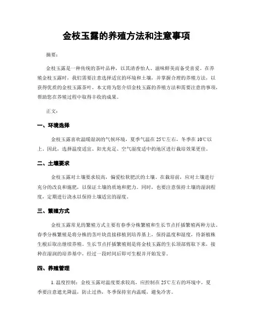 金枝玉露的养殖方法和注意事项