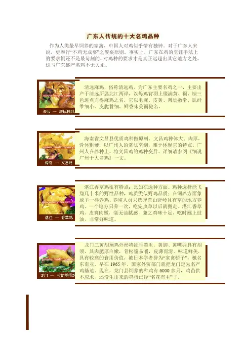 中国各种名鸡