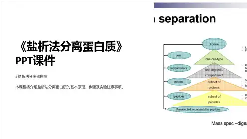 《盐析法分离蛋白质》课件