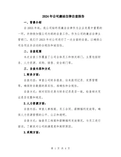 2024年公司廉洁自律自查报告