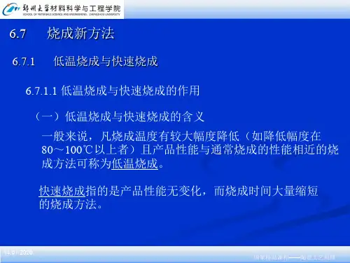 郑州大学陶瓷工艺原理第六章t354页PPT