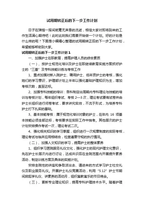 试用期转正后的下一步工作计划