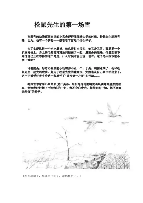 松鼠先生的第一场雪