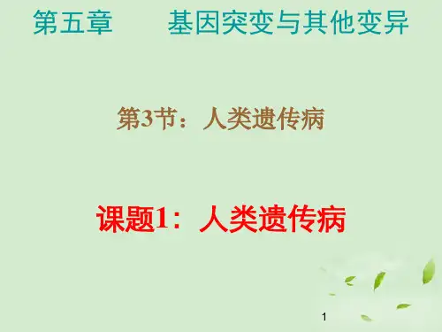 高中生物 5.3.2《人类基因组计划》课件(1) 新人教版必修2 