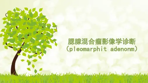 腮腺混合瘤影像诊断