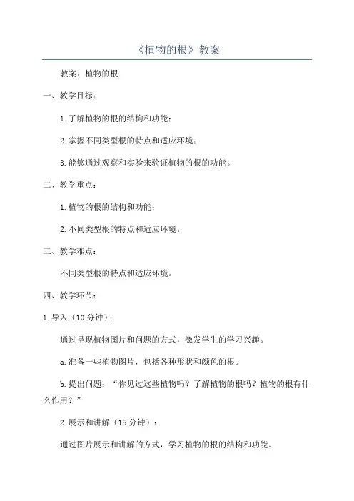 《植物的根》教案
