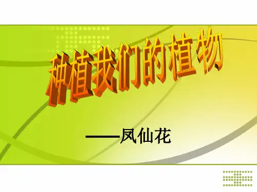 三年级下册科学课件-1.2种植我们的植物｜教科版共14张PPT