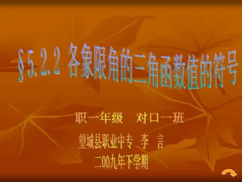各象限角的三角函数值的符号