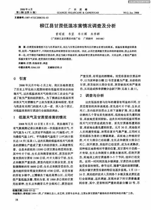柳江县甘蔗低温冻害情况调查及分析