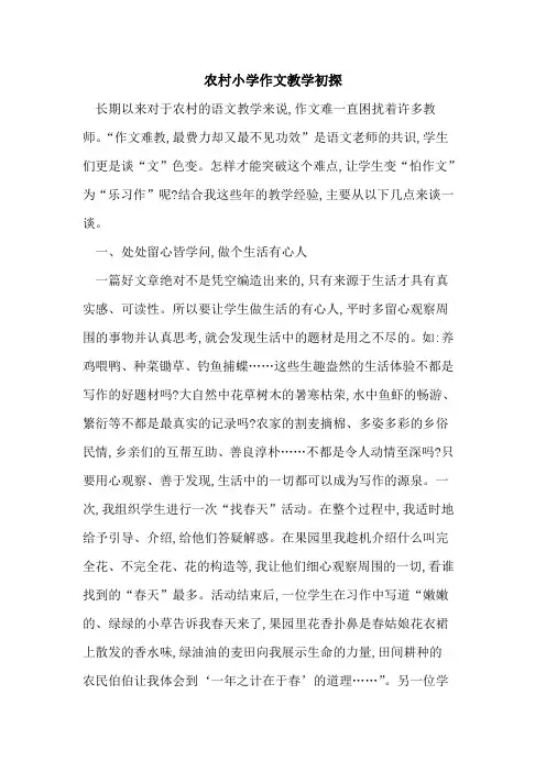 农村小学作文教学
